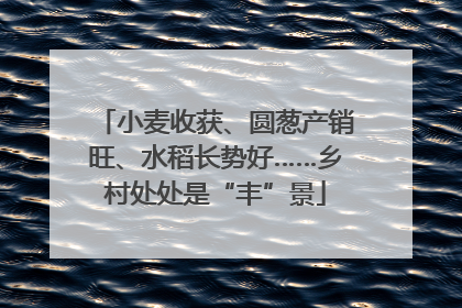 小麦收获、圆葱产销旺、水稻长势好……乡村处处是“丰”景